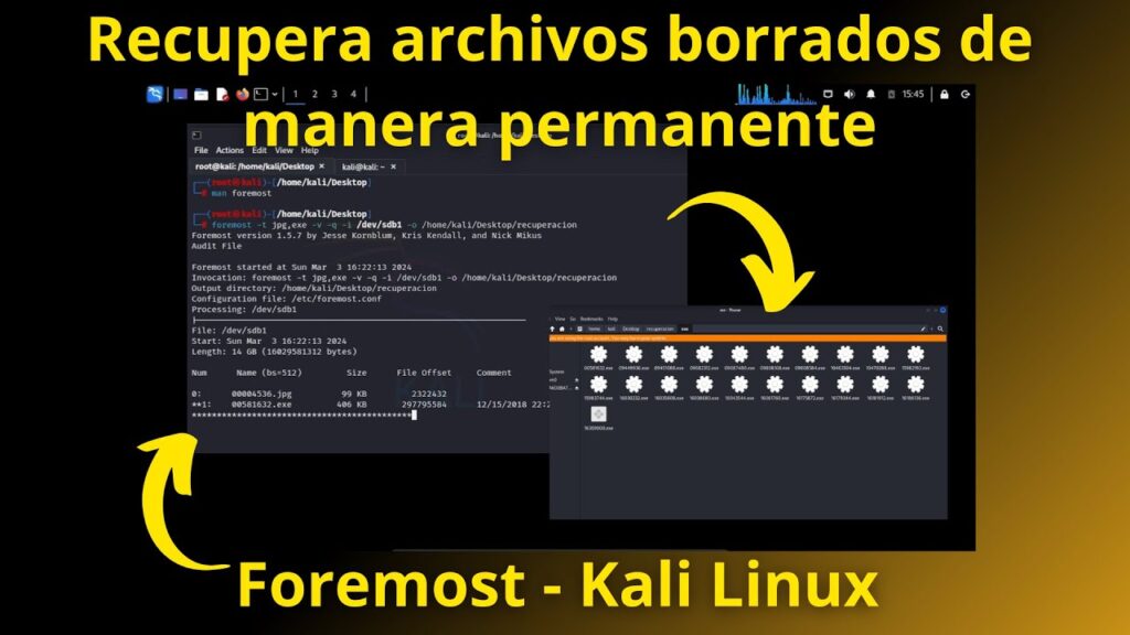 Cómo Recuperar Archivos Borrados en Foremost - Kali Linux